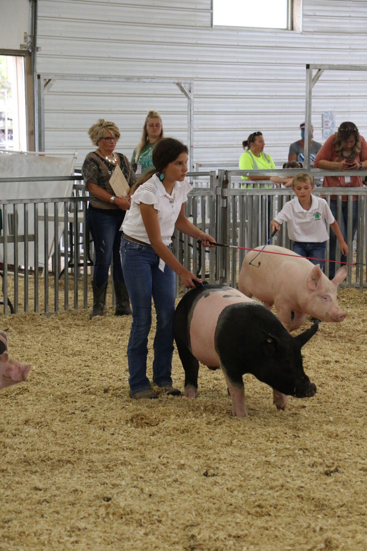 PHOTOS: Pig Showmanship